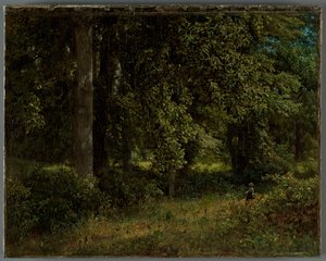 Tulip trees, 1859 by William Trost Richards